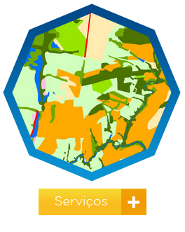 Serviços